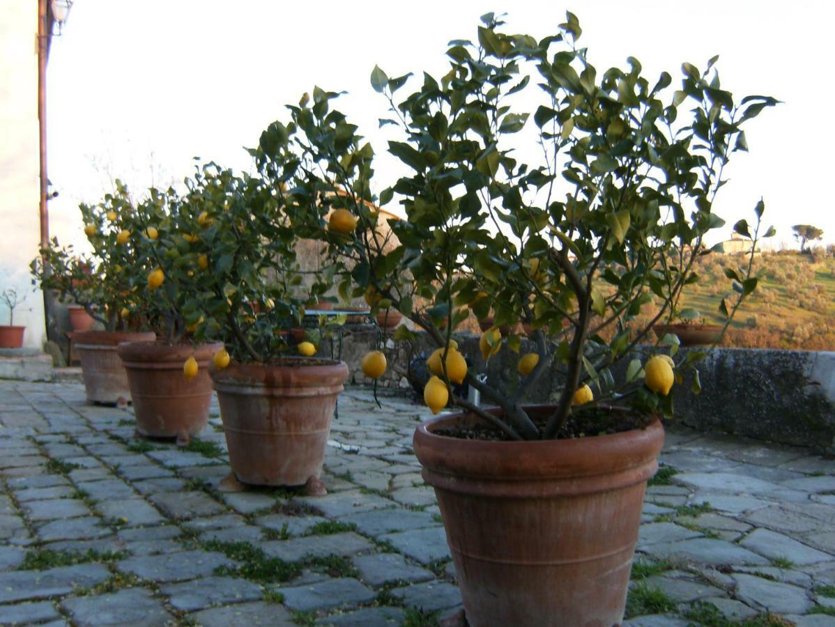 Le Massucce San Casciano in Val di Pesa Ngoại thất bức ảnh