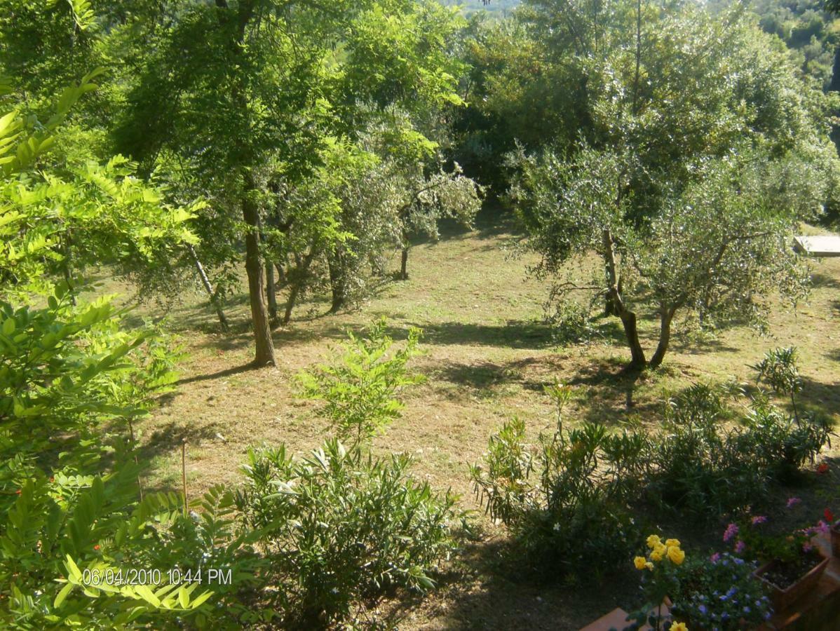 Le Massucce San Casciano in Val di Pesa Ngoại thất bức ảnh