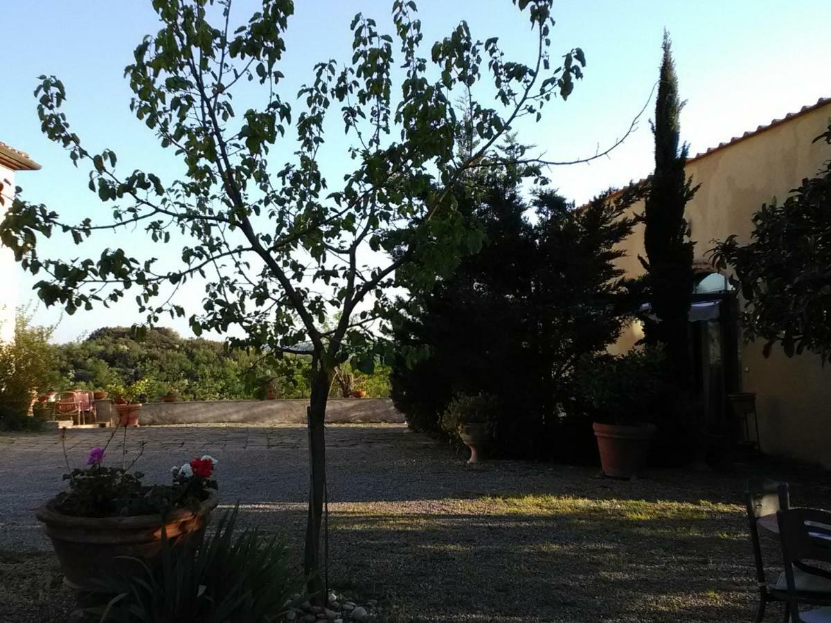 Le Massucce San Casciano in Val di Pesa Ngoại thất bức ảnh
