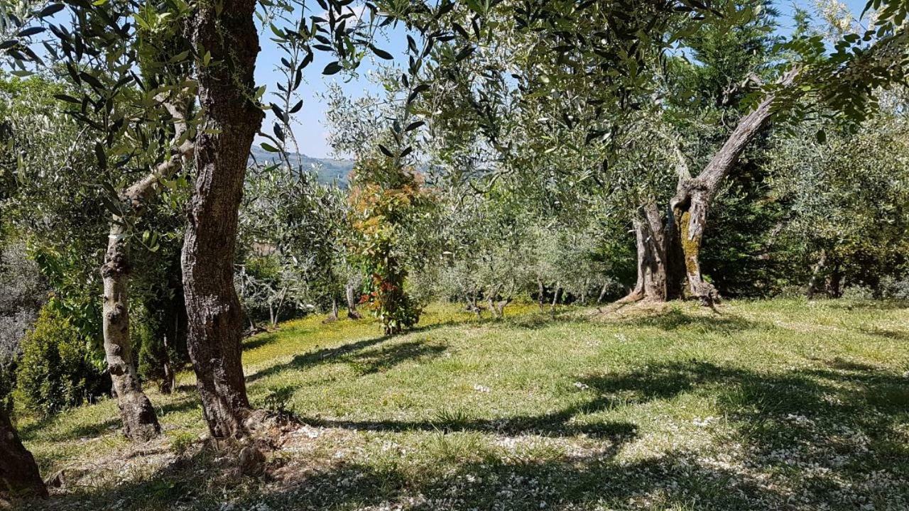 Le Massucce San Casciano in Val di Pesa Ngoại thất bức ảnh